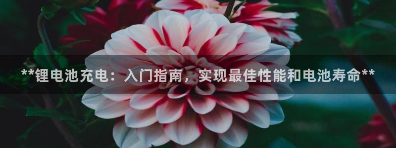 z6尊龙凯时官方