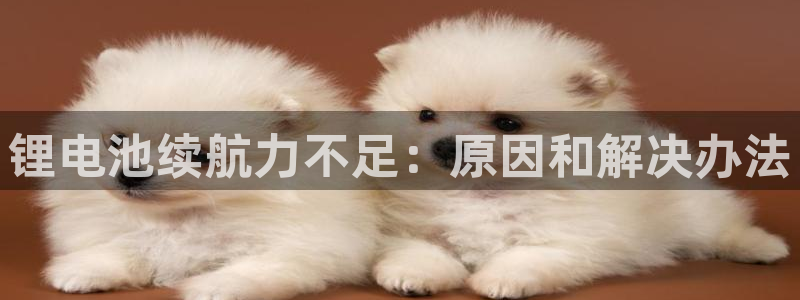尊龙凯时-人生就是博中国官网最新