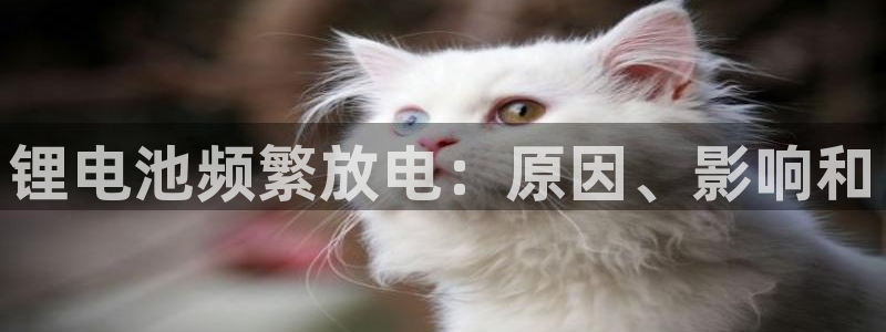 尊龙凯时取款有要求吗