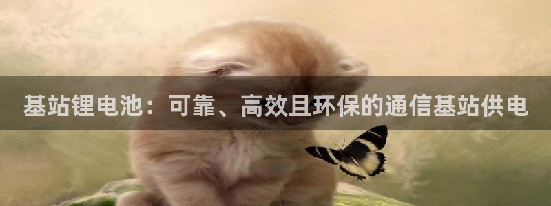 尊龙新版官网网页版