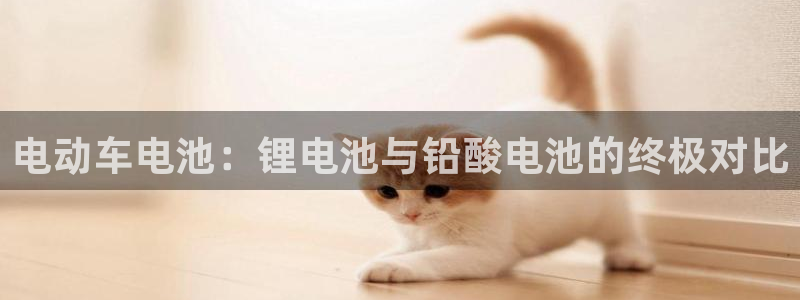 旧版尊龙人生就是博下载