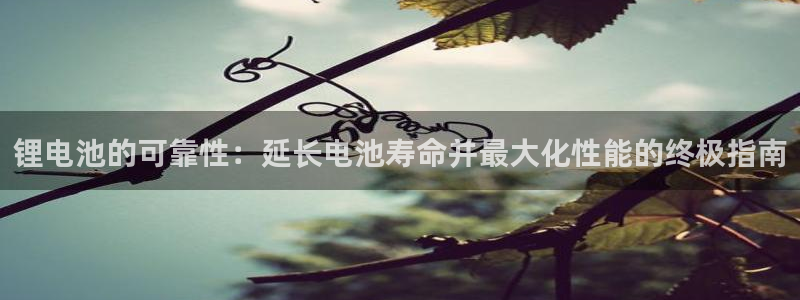 尊龙旗舰厅app