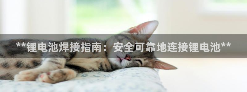 AG尊龙登陆网址