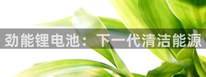 凯时k8娱乐唯一官网