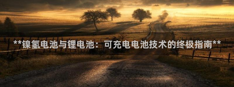 尊龙-人生就是博!
