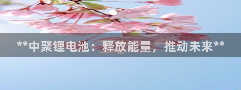 尊龙凯时白家乐Abb下载