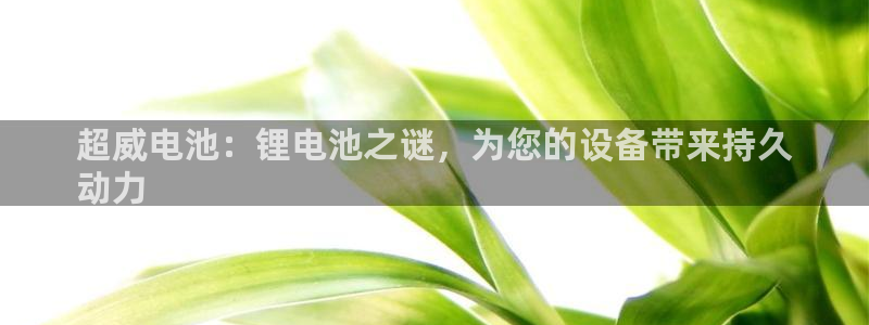 尊龙凯时人生就是搏 品牌专区