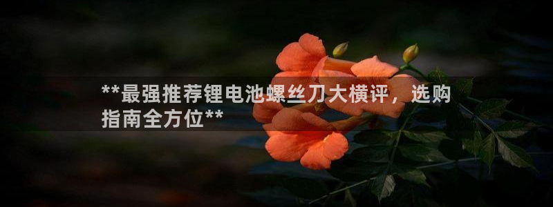 香港尊龙
