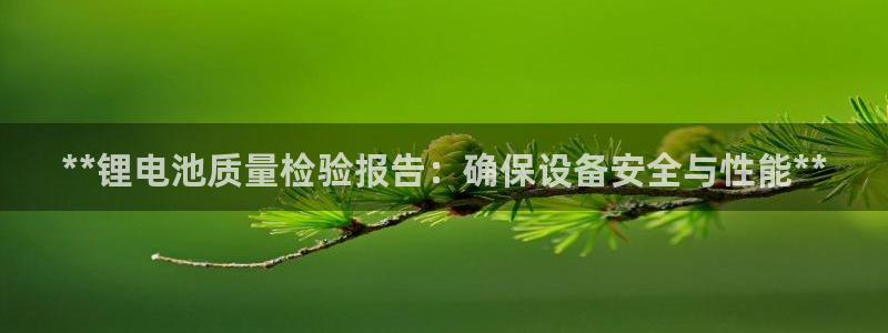 尊龙凯时 - 人生就是搏!提款怎么样：**锂电池质量检验报告：确保设备安全与性能**