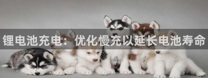 尊龙凯时防屏蔽网址