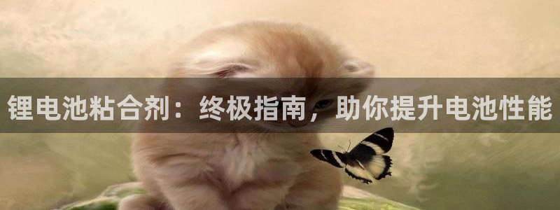 尊龙凯时取款不成功