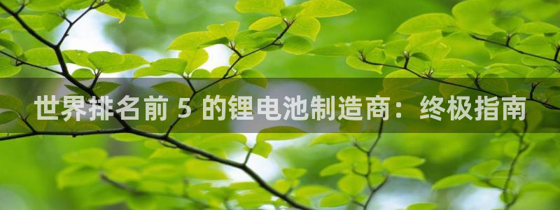 尊龙凯时老板