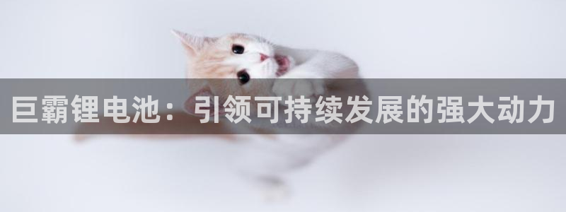 尊龙凯时网娱乐最新版