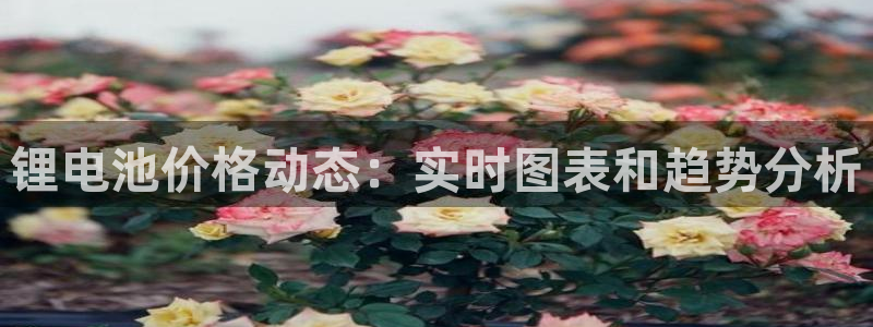 尊龙人生就是博下载：锂电池价格动态：实时图表和趋势分析