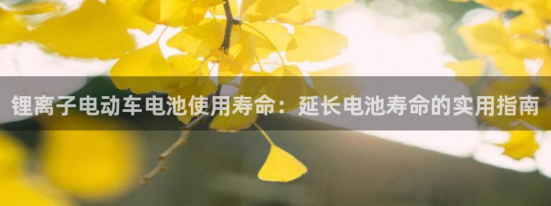 尊龙人生就是博客服
