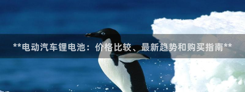 尊龙凯时贴吧