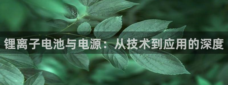 尊龙集团