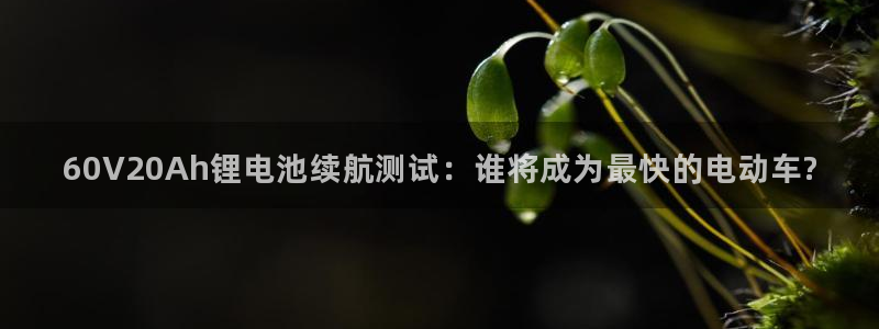 尊龙凯时处理未到账