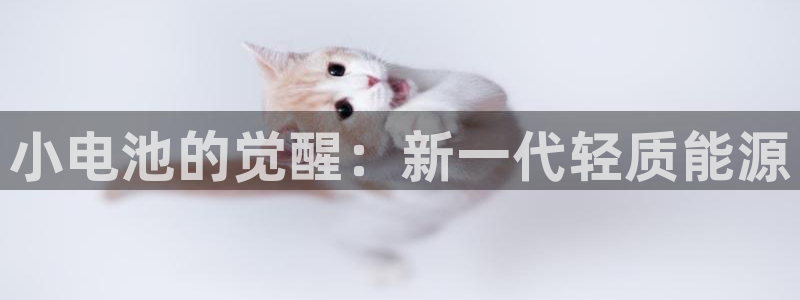 尊龙凯时提不了款