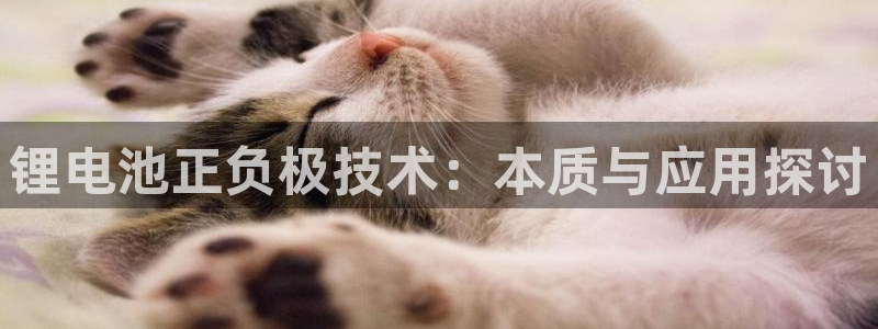 尊龙官网国际