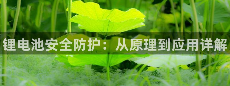 尊龙凯时是哪个国家的