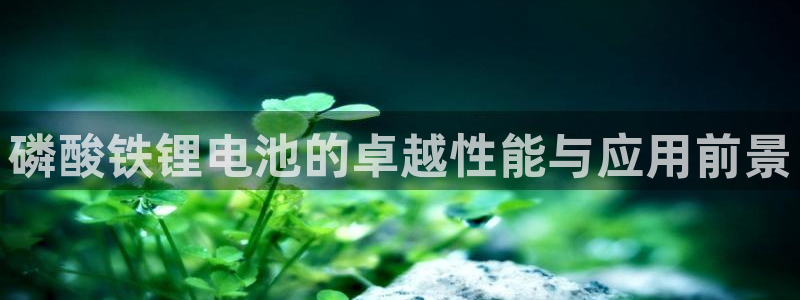 尊龙app|首选agdaohang