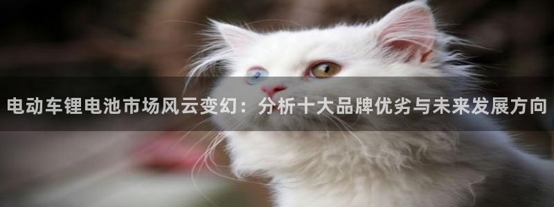 尊龙凯时人生就是搏首页