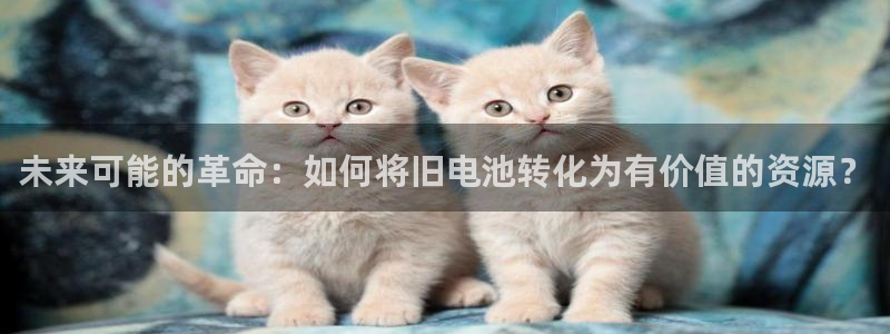 凯时最新官方APP下载