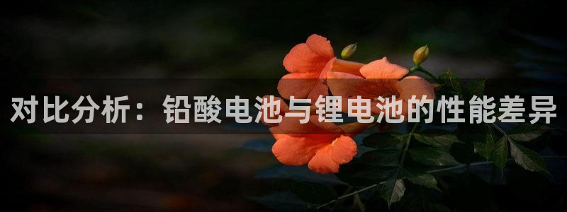 凯时k66娱乐登录