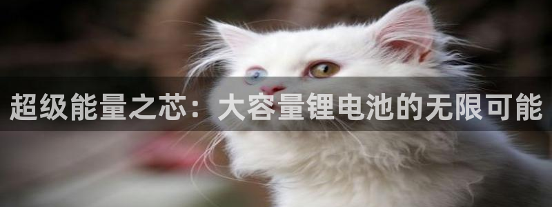 尊龙凯时台子