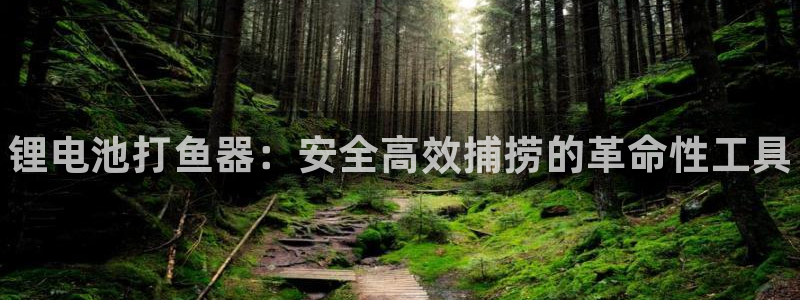 尊龙d88现金关注ag发财网：锂电池打鱼器：安全高效捕捞的革命性工具