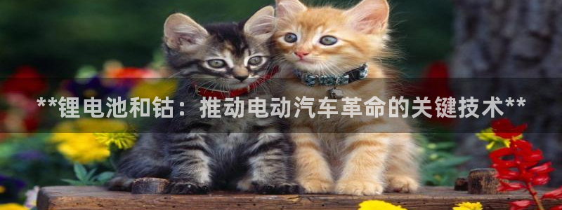 尊龙 6：**锂电池和钴：推动电动汽车革命的关键技术**