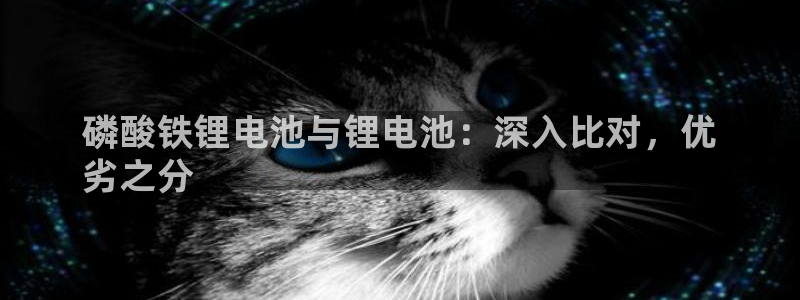 尊龙ag旗舰厅登陆：磷酸铁锂电池与锂电池：深入比对，优
劣之分