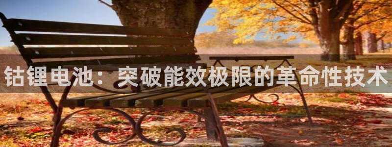尊龙app|首选agdaohang：钴锂电池：突破能效极限的革命性技术