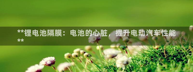 尊龙凯时官网入口：**锂电池隔膜：电池的心脏，提升电动汽车性能
**