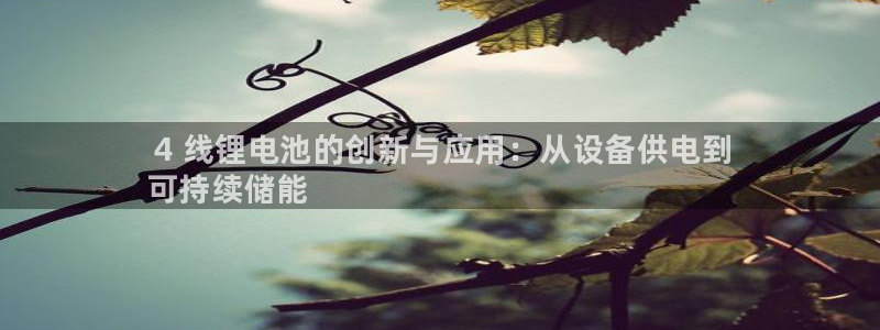 尊龙人生就是博手机版下载： 4 线锂电池