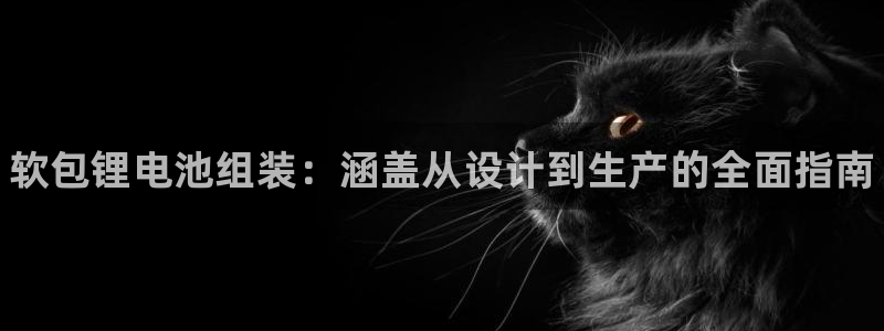 尊龙凯时产品系列：软包锂电池组装：涵盖从