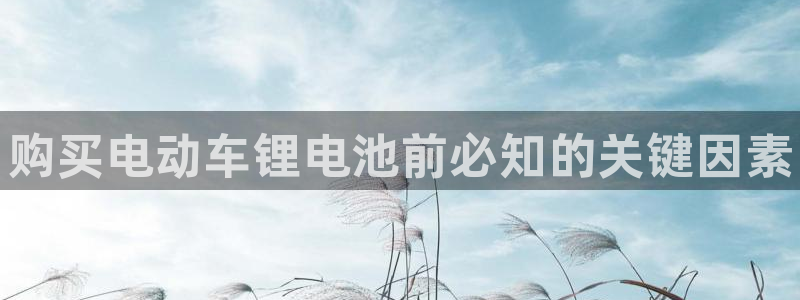 尊龙官网免费下载安装