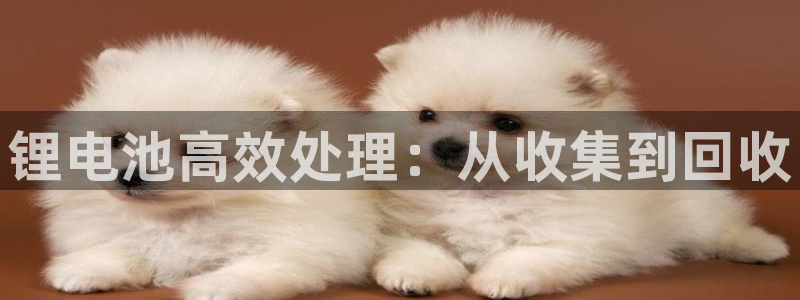 尊龙凯时官网登录入口