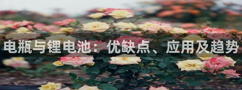 尊龙,人生就是博!登录国际