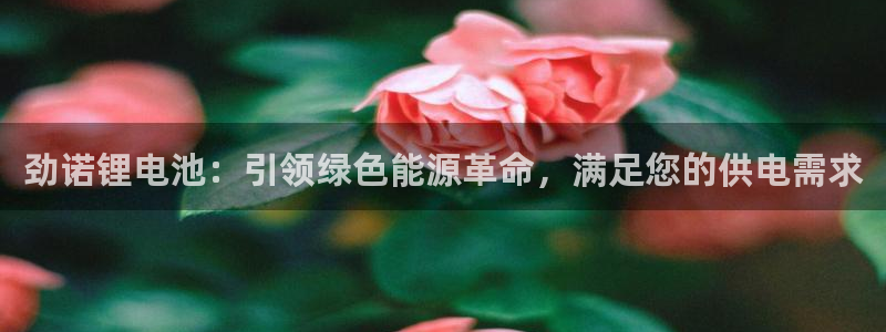 尊龙凯时官网登录入口