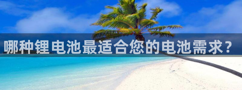 尊龙人生就是博官网登录手机