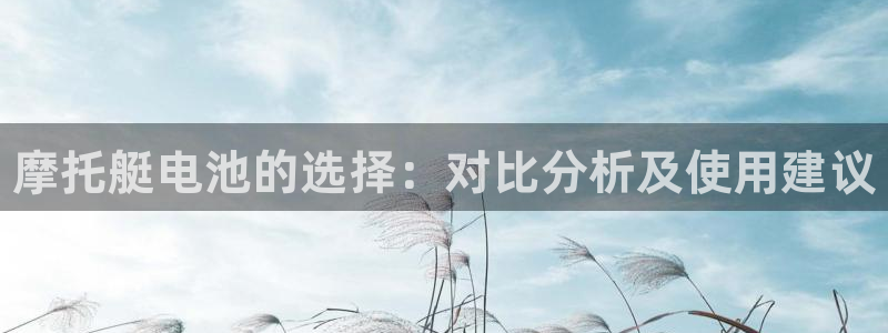 尊龙/人生就是博