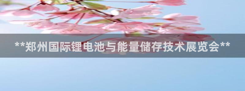 尊龙,人生就是博!登录国际：**郑州国际锂电池与能量储存技术展览会**