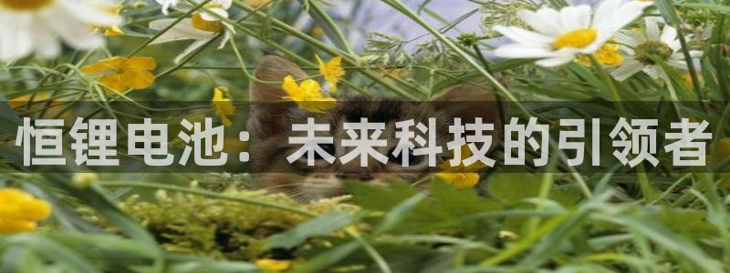 凯时最新官方APP下载