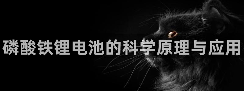 尊龙一人生就是搏