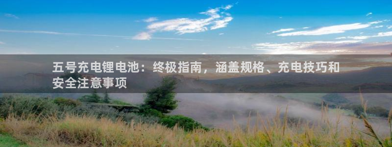 尊龙凯时总部在哪里：五号充电锂电池：终极指南，涵盖规格、充电技巧和
安全注意事项