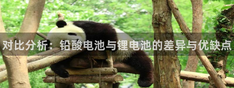 尊龙凯时合法吗?