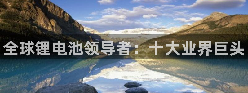 尊龙凯时人生就是搏平台：全球锂电池领导者：十大业界巨头