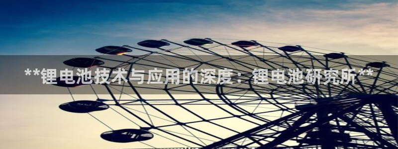 Z6尊龙老版：**锂电池技术与应用的深度：锂电池研究所**